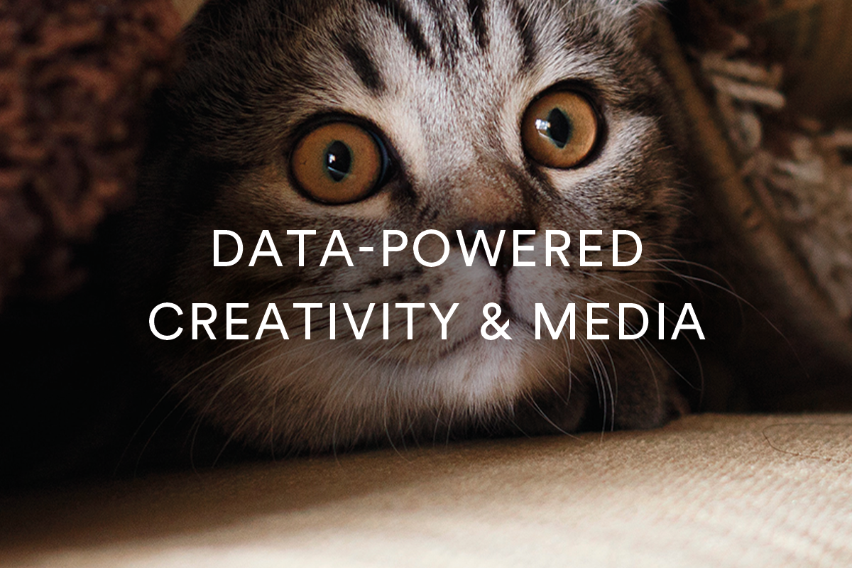 data-powered data-powered